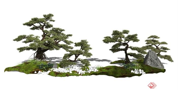新中式景观植物景观树乔木松树石头SU模型
