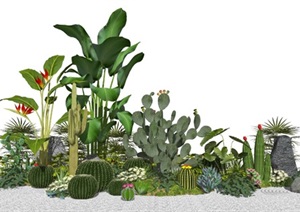 新中式景观小品植物仙人球仙人掌枯山水灌木花卉石头SU(草图大师)模型