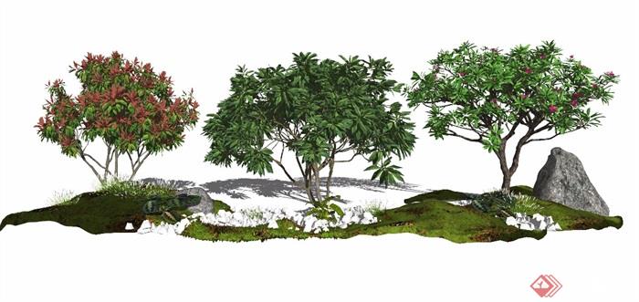 现代景观树景观小品鸡蛋花乔木植物石头植被SU模型 - 副本 (2)