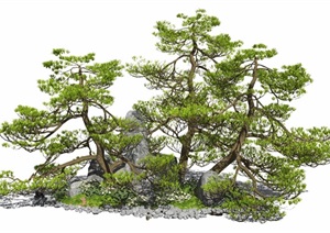 新中式景观小品庭院景观松树植物景观树假山石头景石SU(草图大师)模型