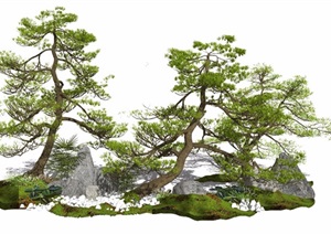 新中式景观小品景观树植物石头松树乔木SU(草图大师)模型
