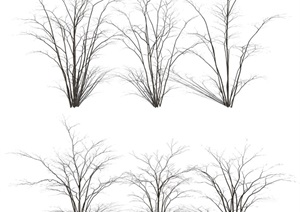 现代植物景观树乔木枯枝枯树SU(草图大师)模型