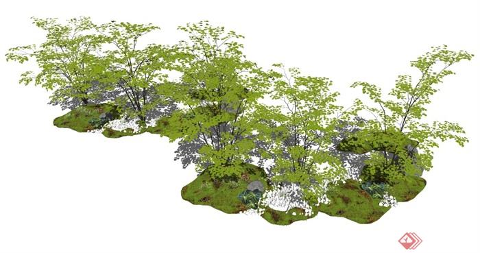现代植物景观树乔木石头草坡SU模型 - 副本 (2)
