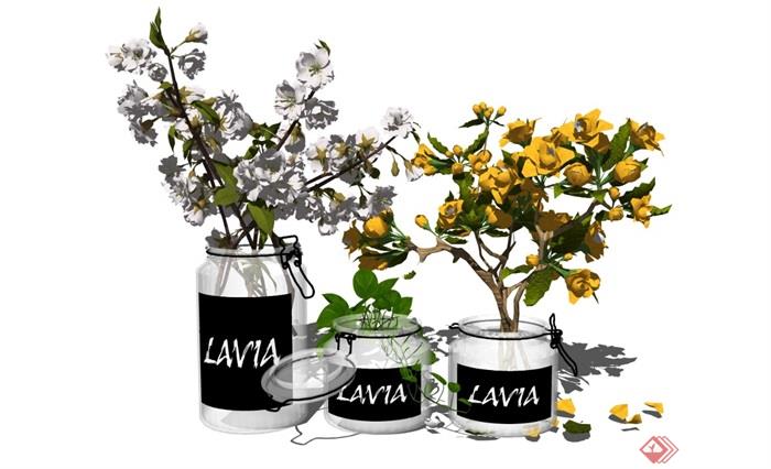现代盆栽装饰品花瓶摆件植物花卉SU模型