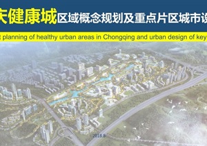 重庆健康城区域概念规划及和重点地区城市设计方案高清文本