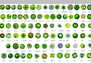 ps源格式ps素材景观多种植物素材图