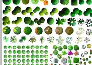 多种ps源格式ps素材景观植物素材图